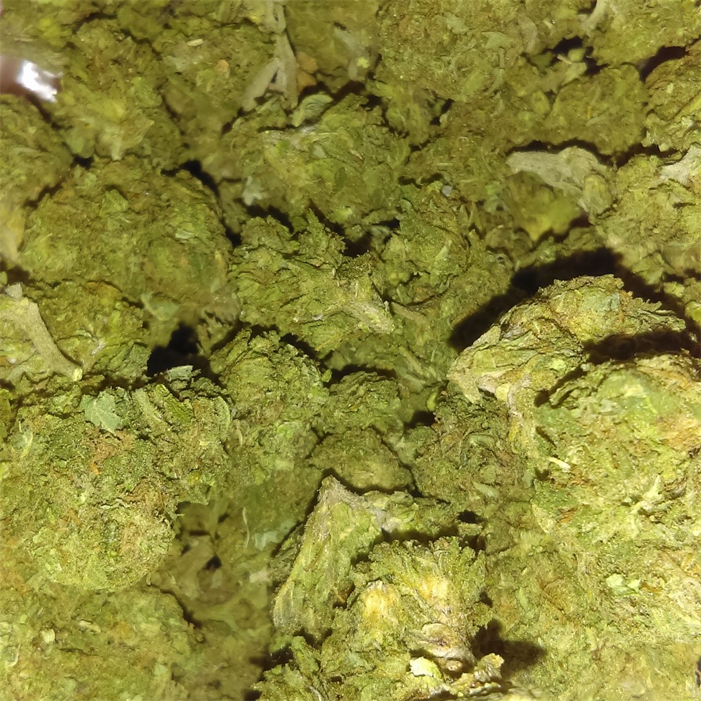 Foto de la variedad Sweet Berry
