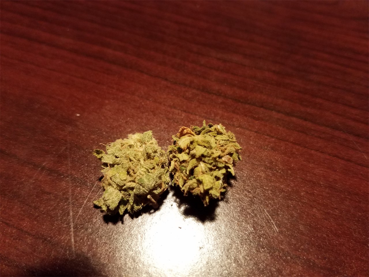 Foto de la variedad Sweet Black Angel
