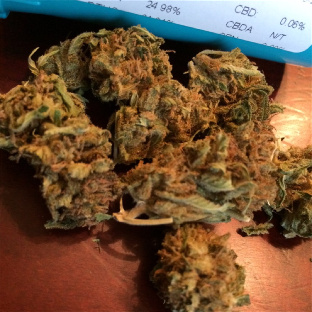 Foto de la variedad Sweet Dreams