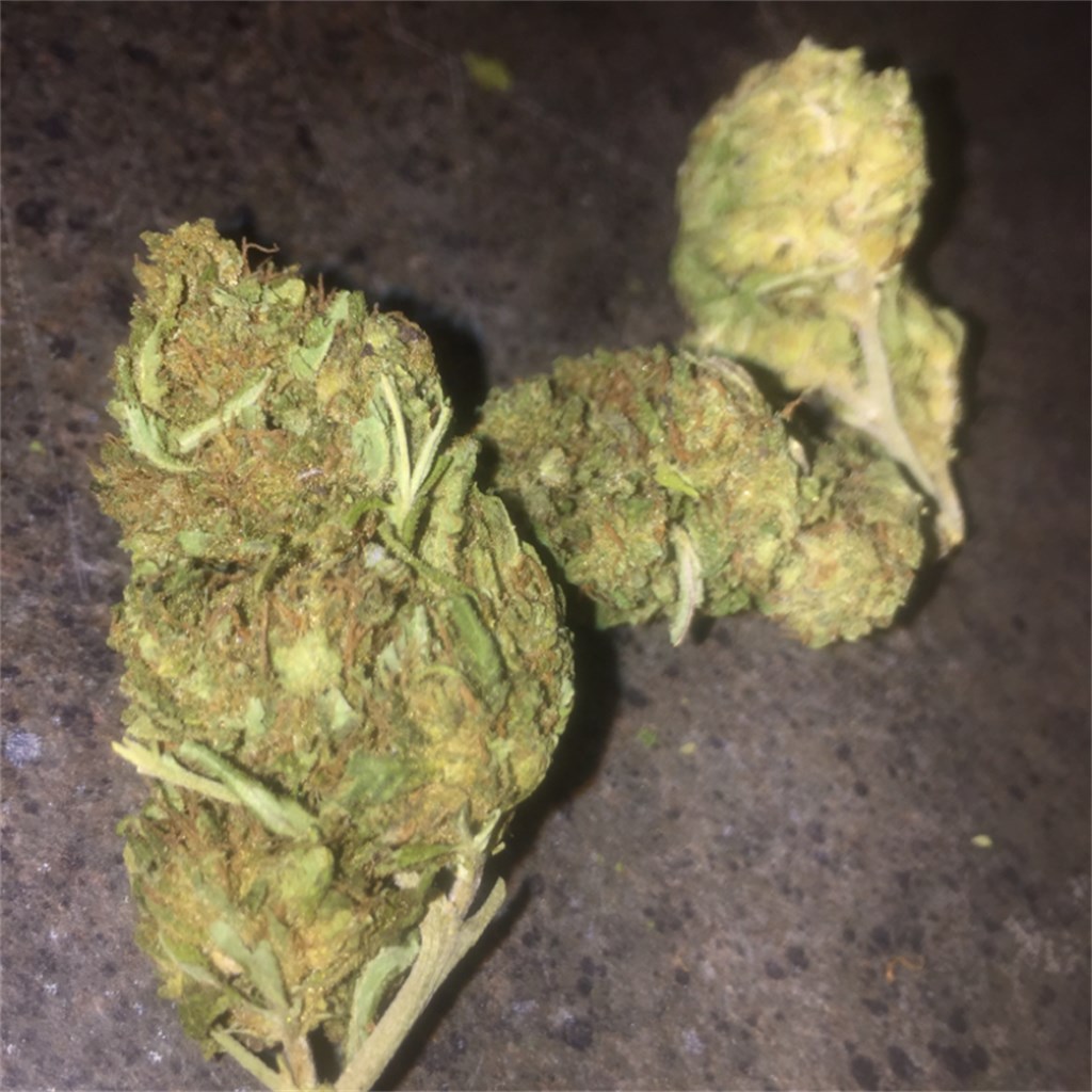 Sweet Harlem Diesel