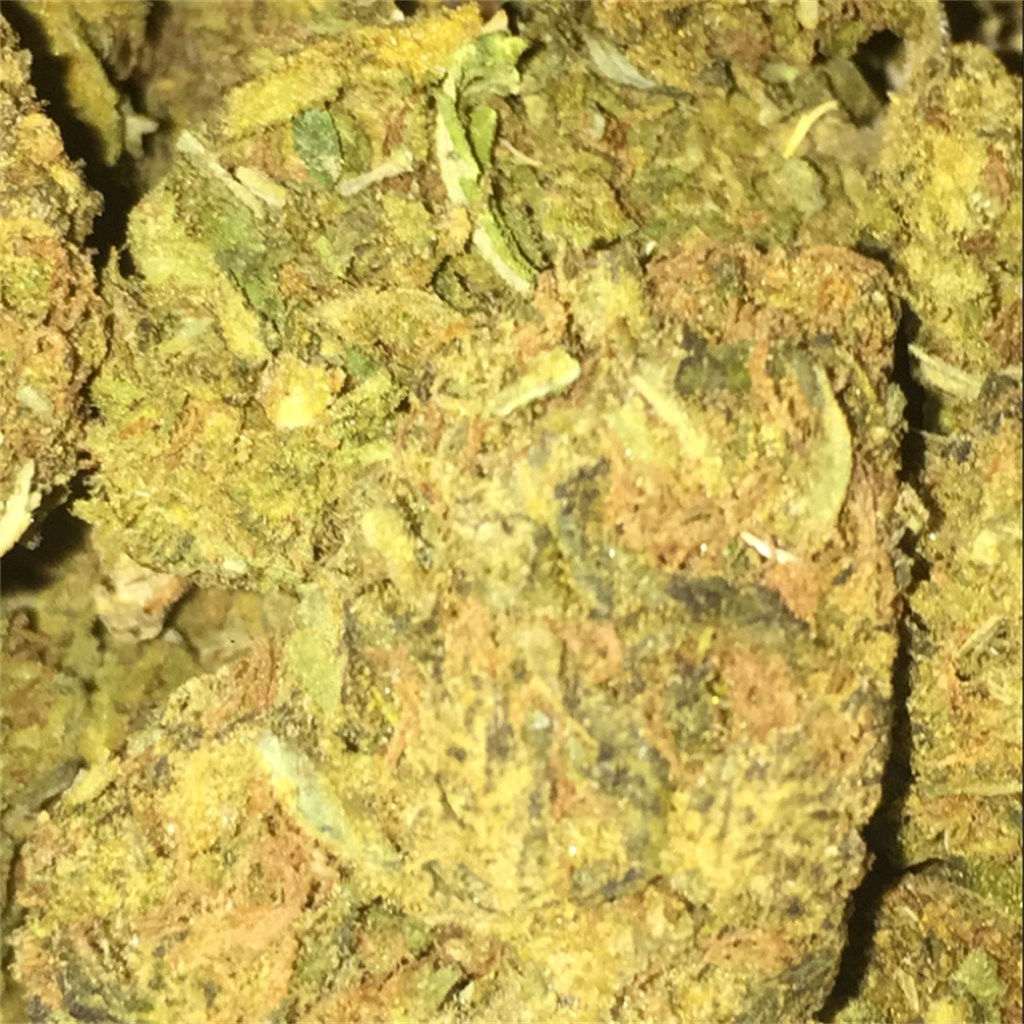 Foto de la variedad Sweet Kush