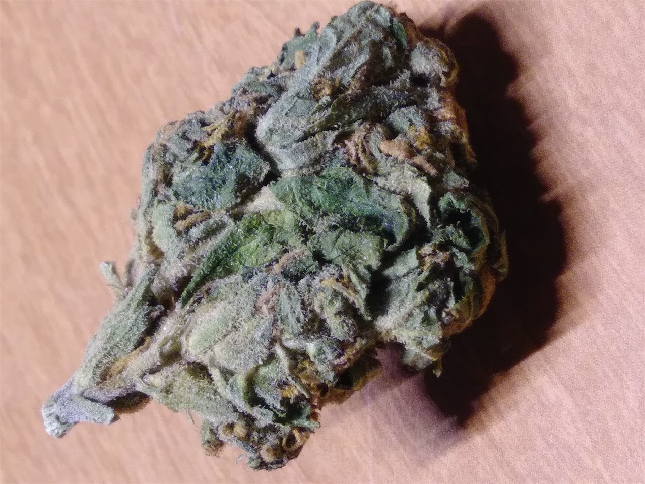 Foto de la variedad Sweet Tooth
