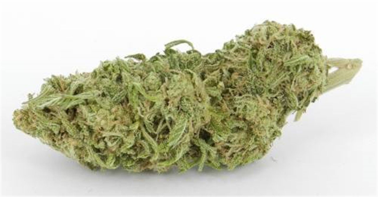 Swiss Sativa