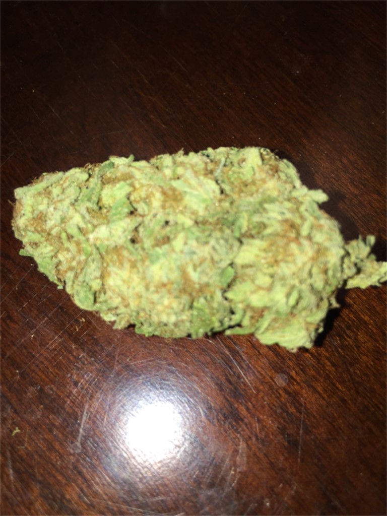 Taliban Poison