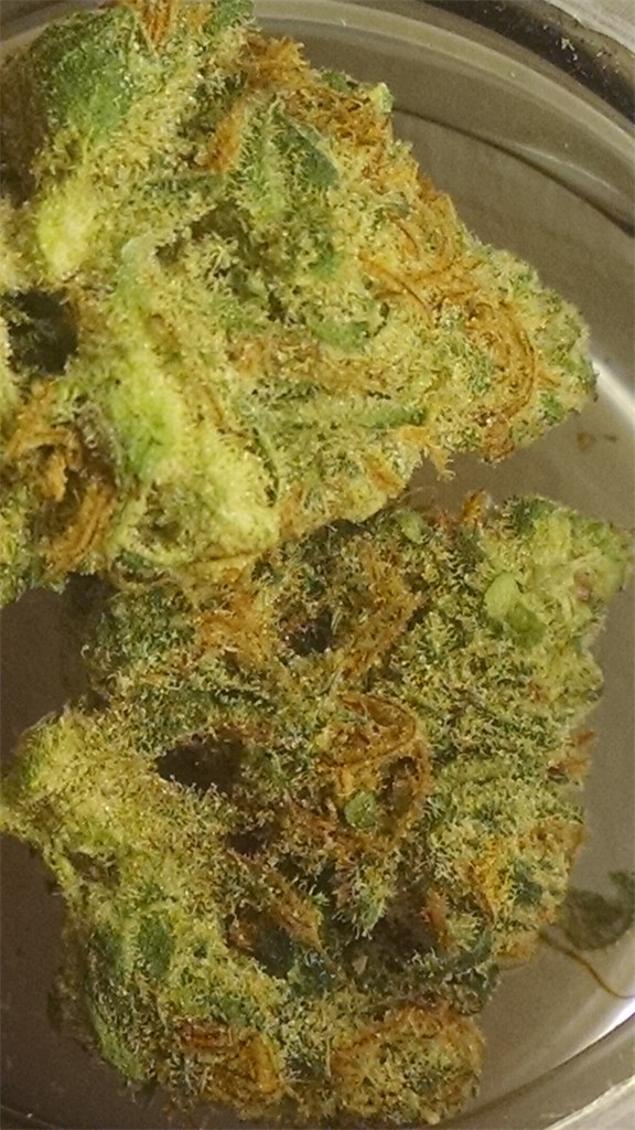 Tangerine Kush