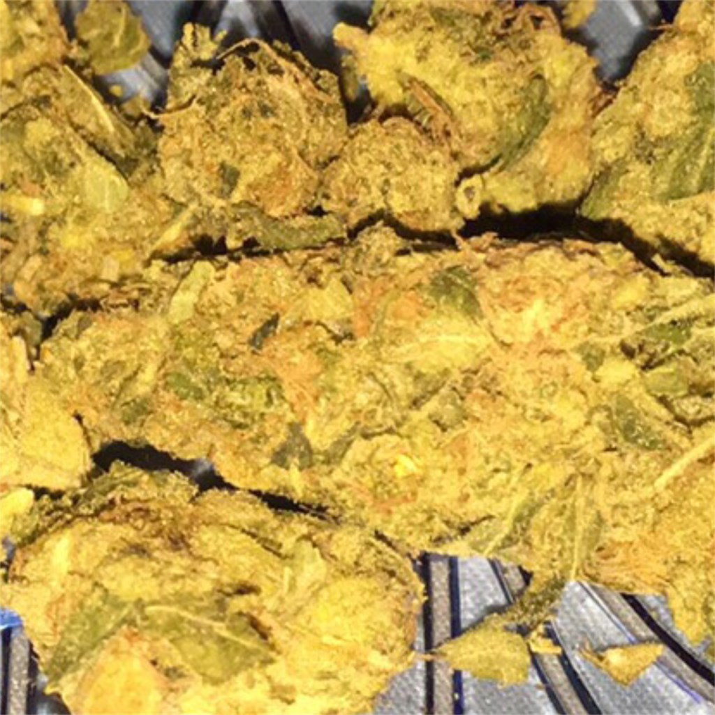 Tangie Dream
