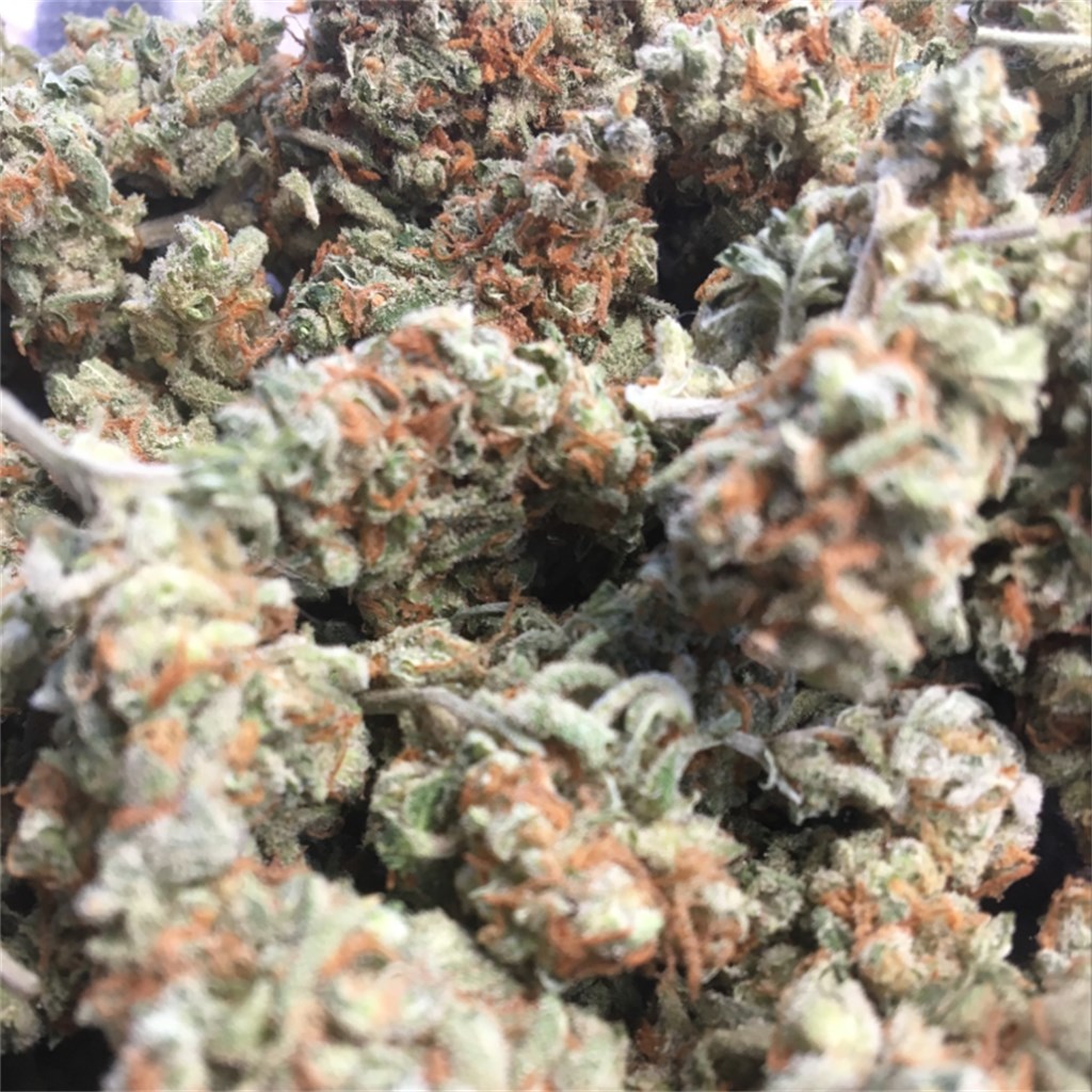 Tangie Ghost Train