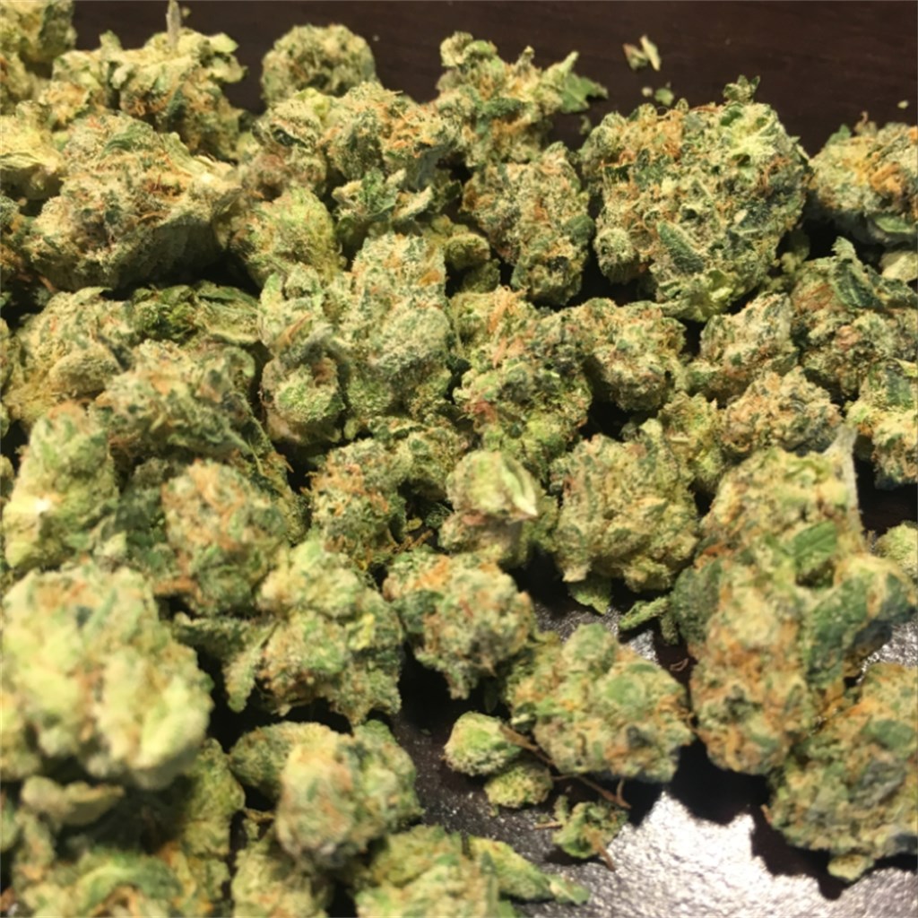 Terminator OG