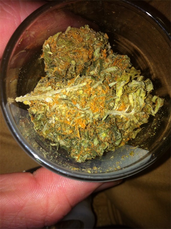 Thai Haze