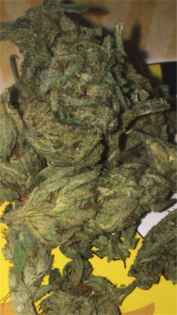 Thai