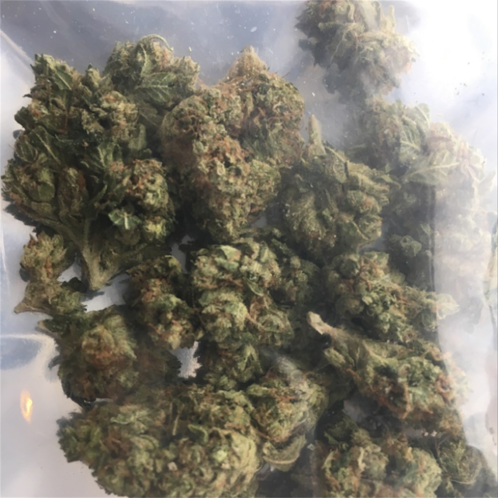 Foto de la variedad Tidal Wave
