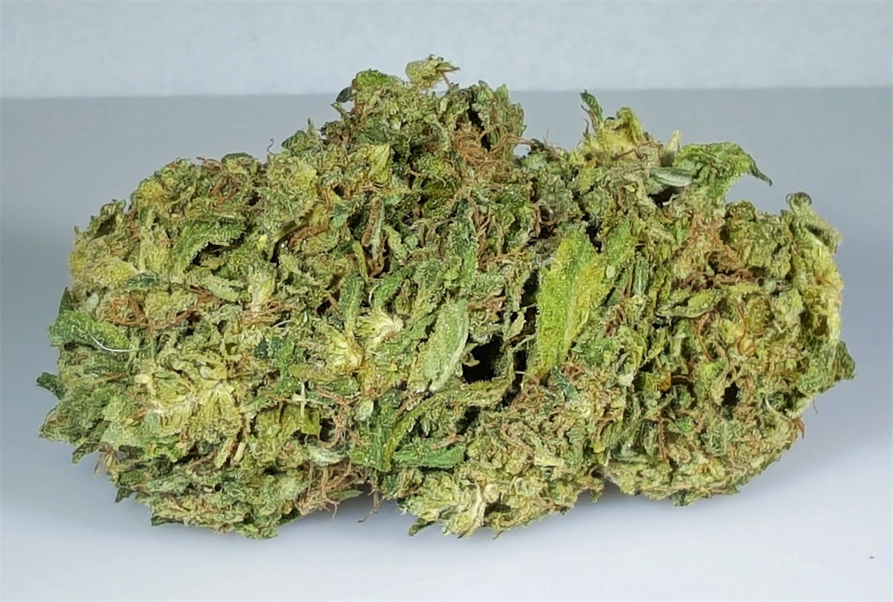 Foto de la variedad THC Bomb