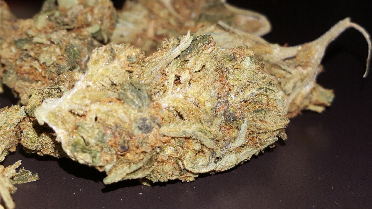 Foto de la variedad Cough