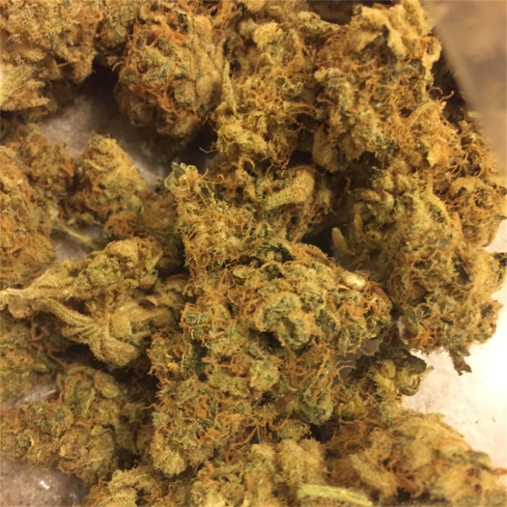 Foto de la variedad The Flav