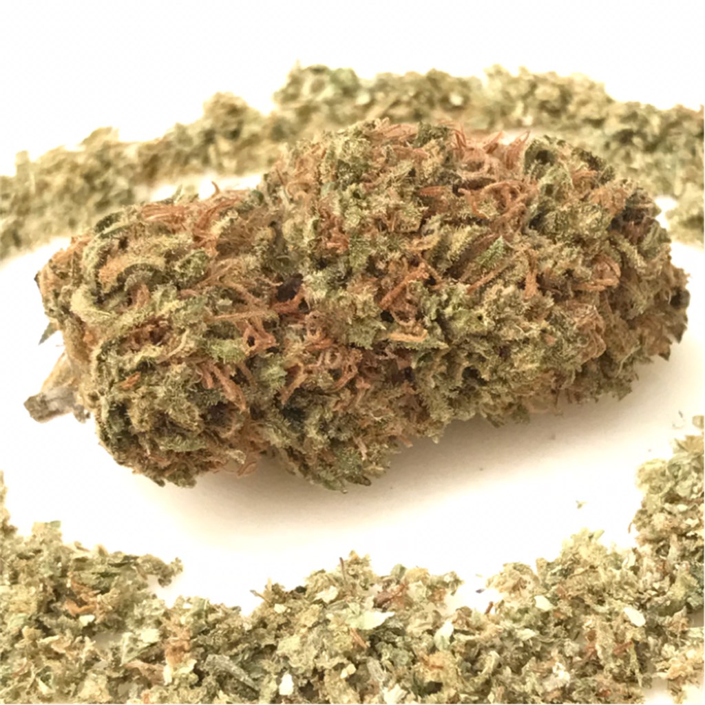 Foto de la variedad The One