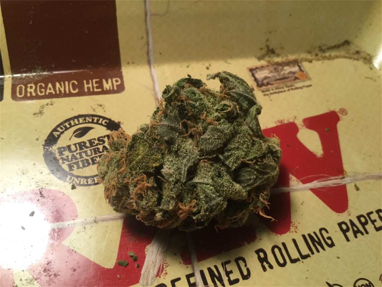 Foto de la variedad The Ooze