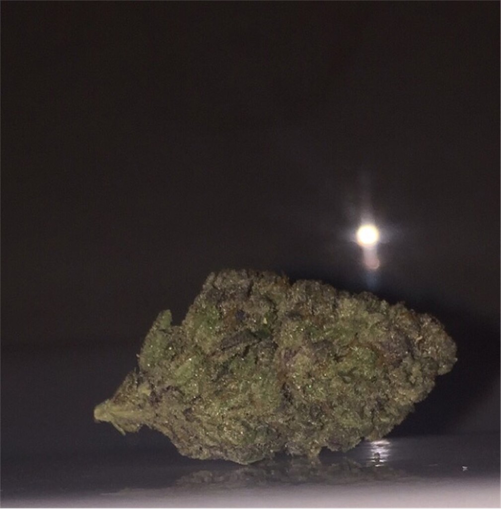 Foto de la variedad 3D