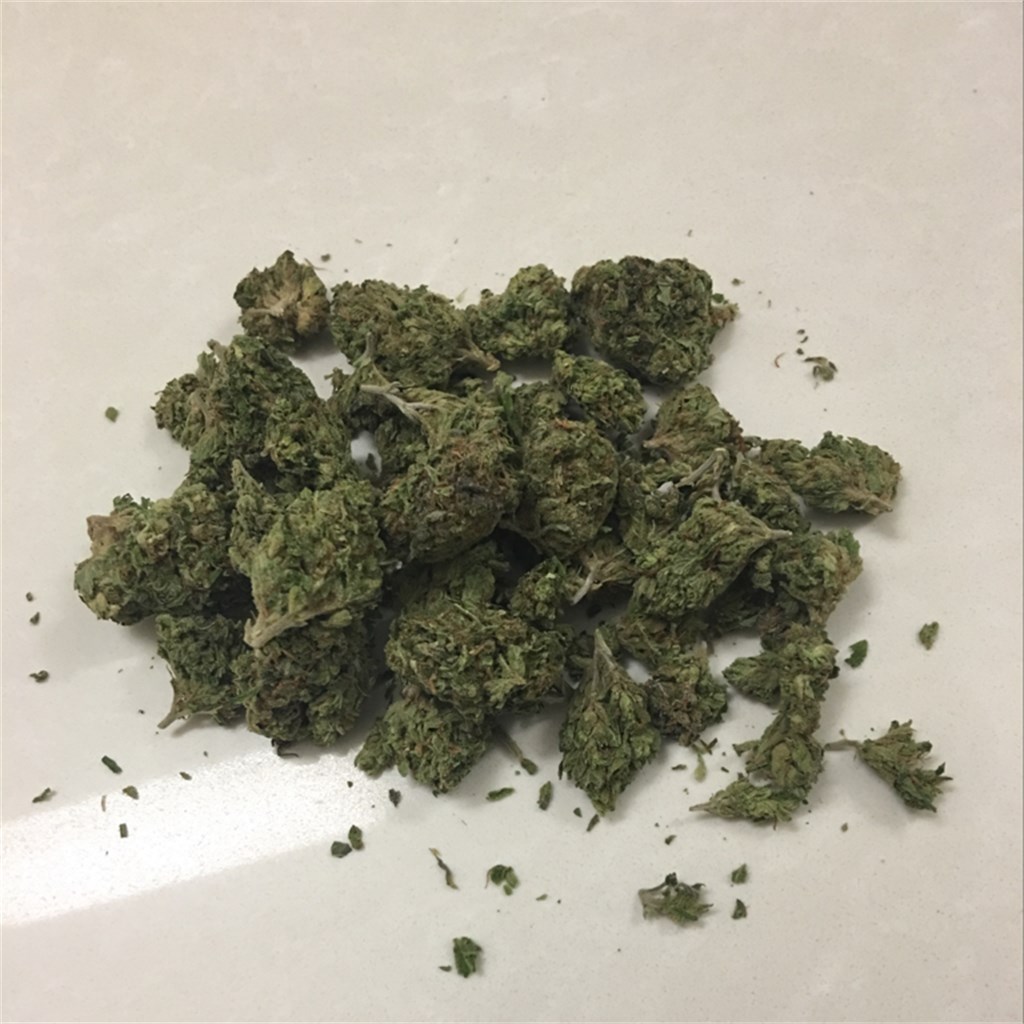 Foto de la variedad The Truth