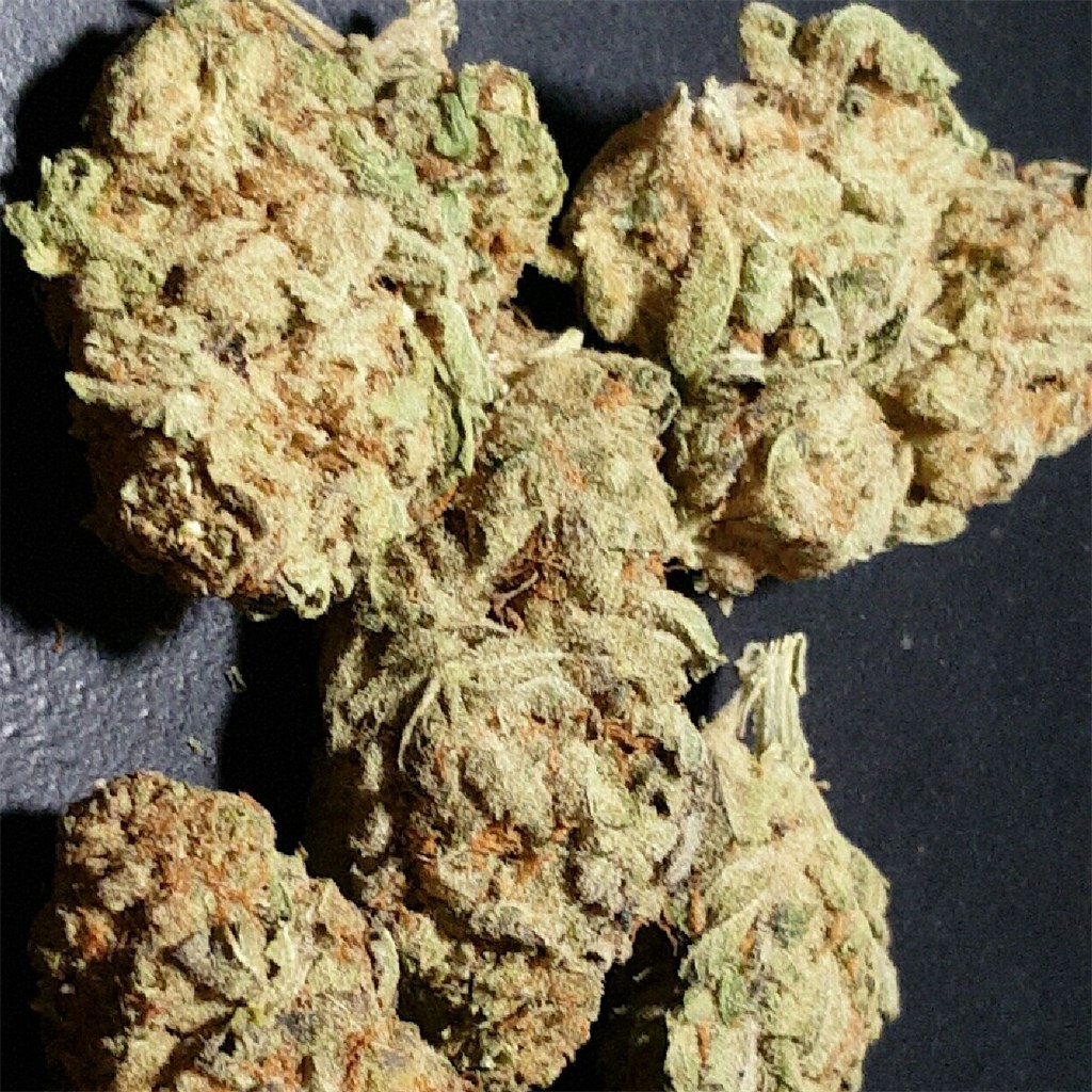 Thelonious Skunk