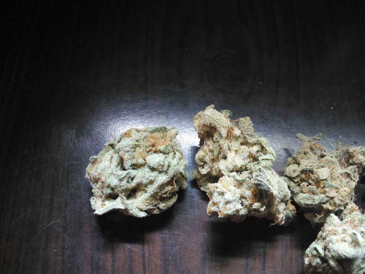 Foto de la variedad Mjölnir