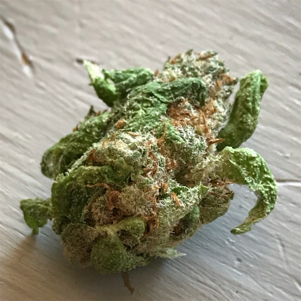Foto de la variedad Tigers Milk