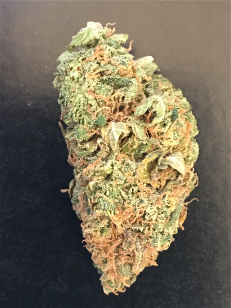 Tommy's Home Grown