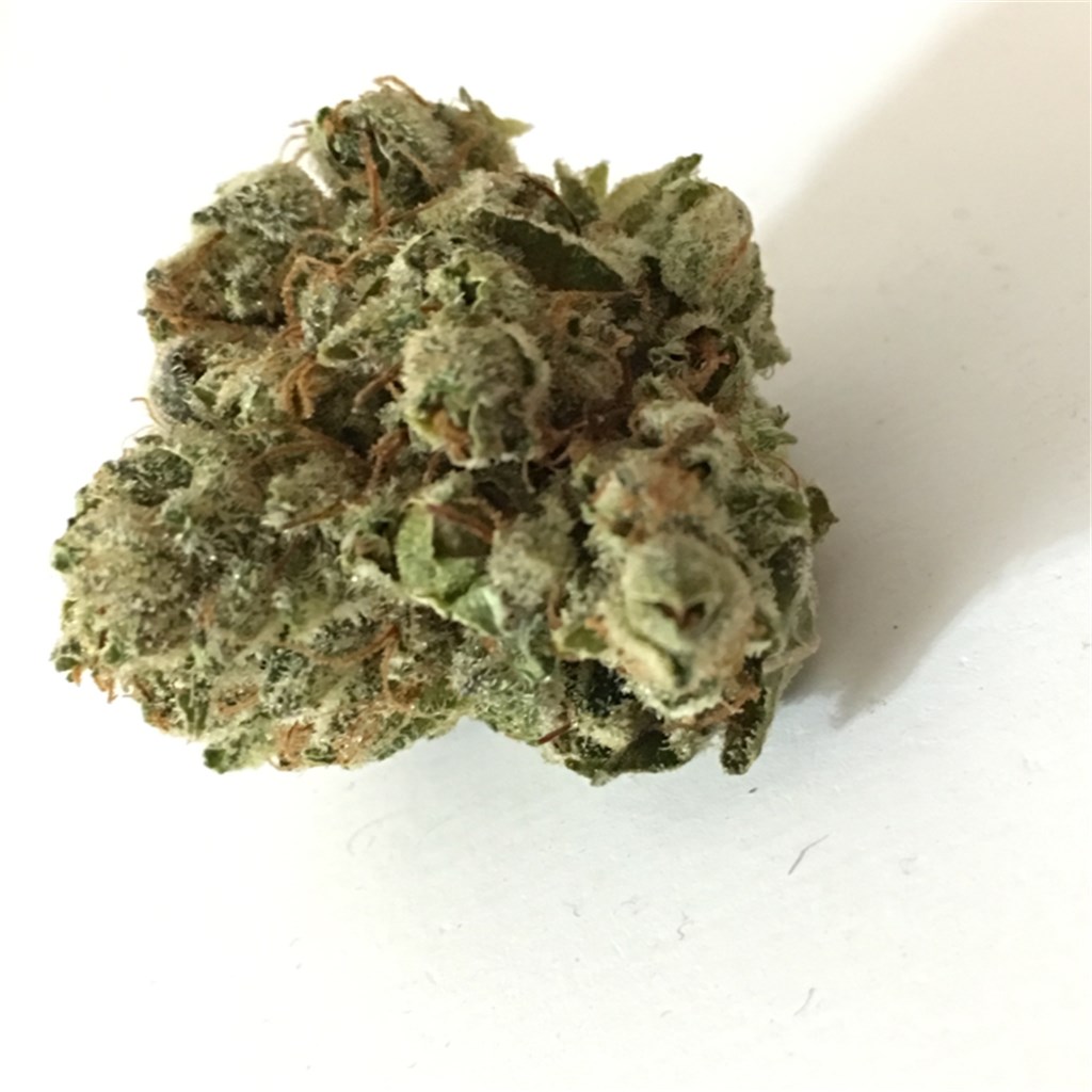 Foto de la variedad Tres Dawg