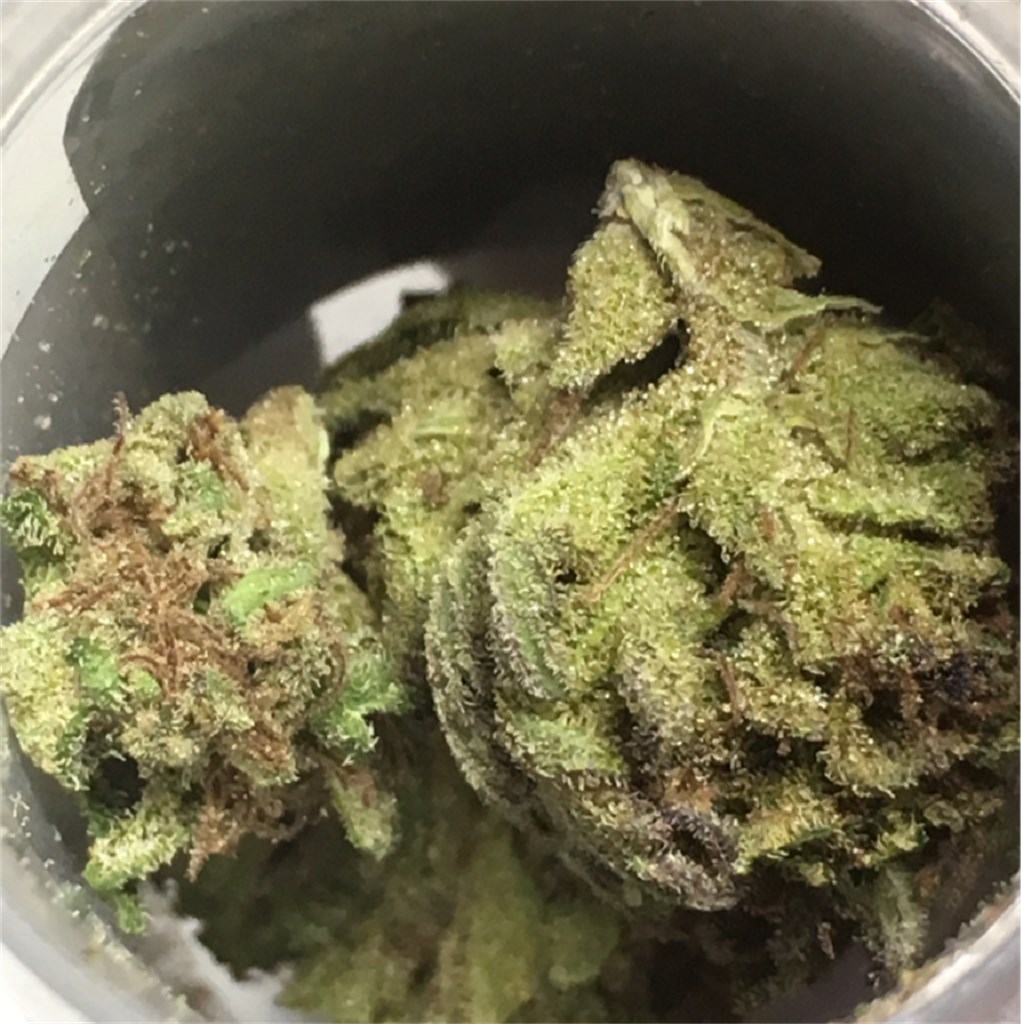 Foto de la variedad Trinity