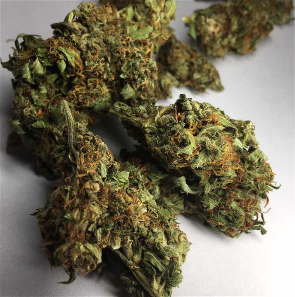 King Tut