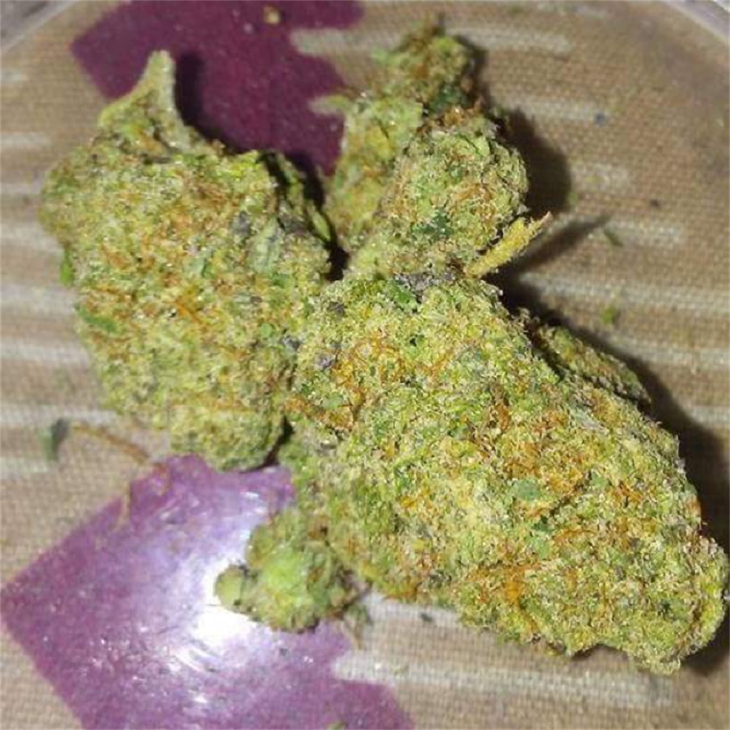 U2 Kush