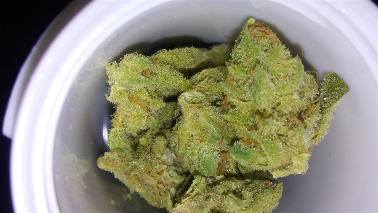 Foto de la variedad Ultra Sonja