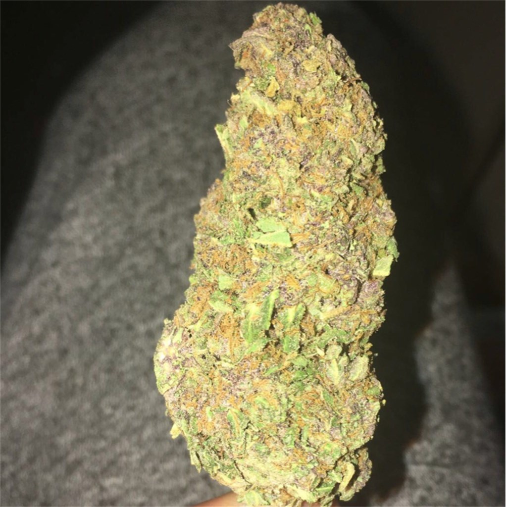 Foto de la variedad Vader OG