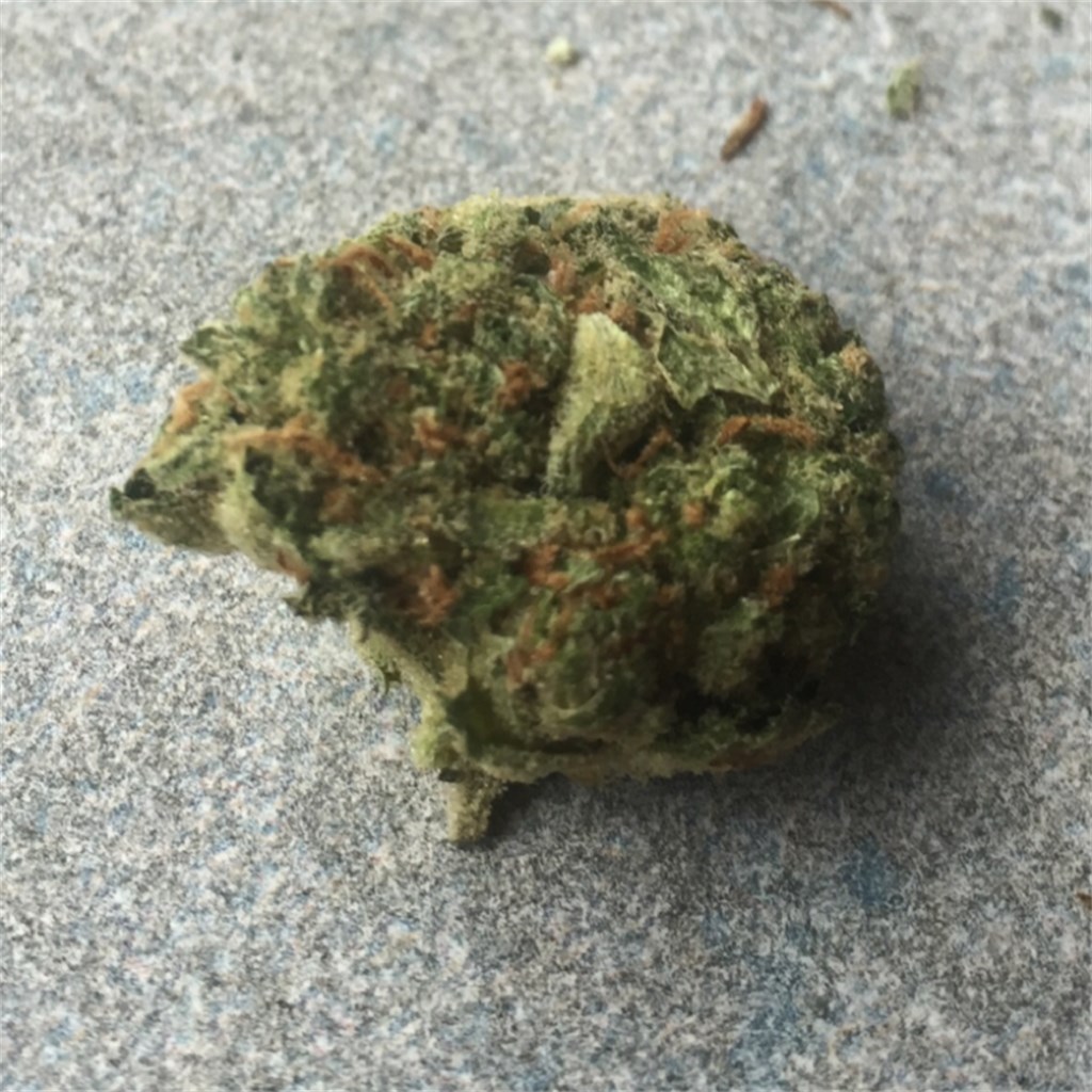 Vanilla Kush