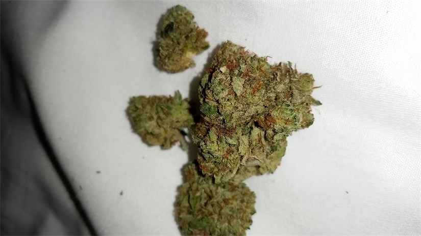 Venice Og