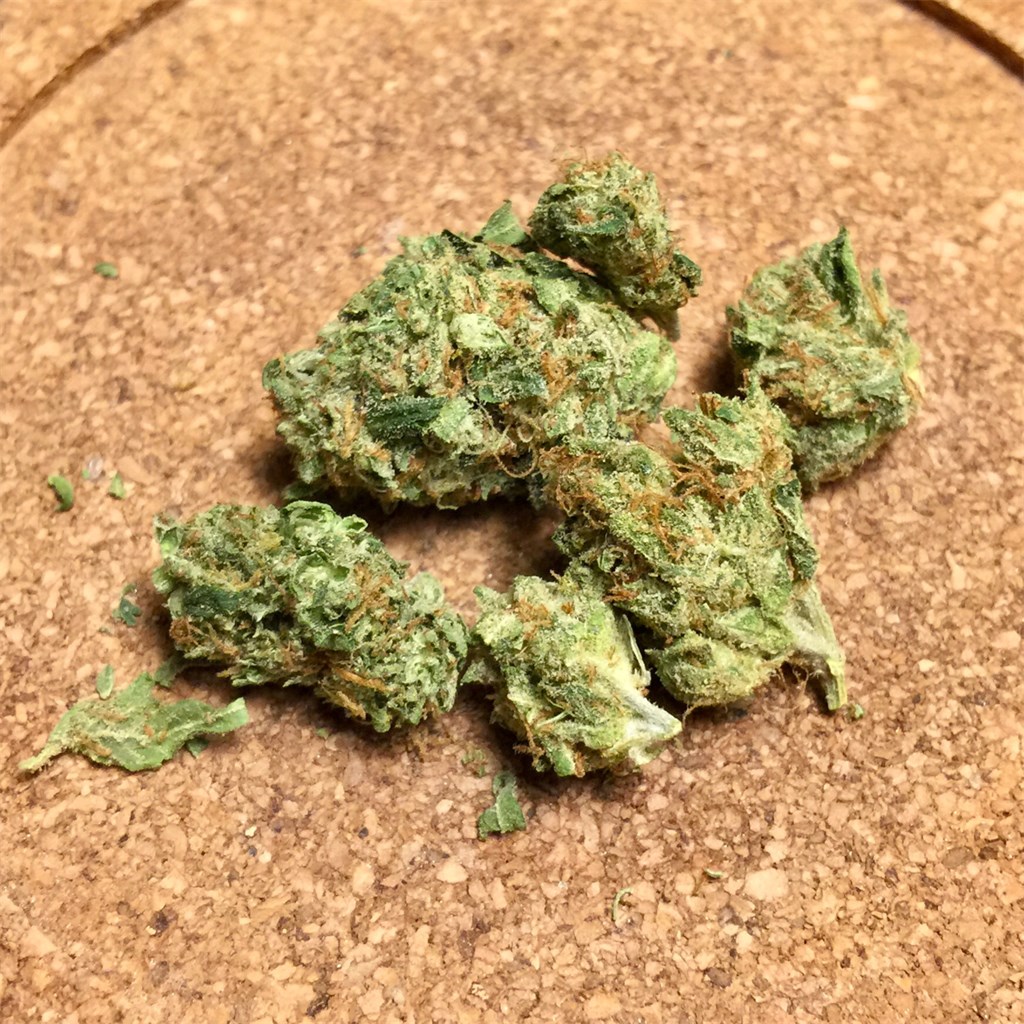 Venus OG