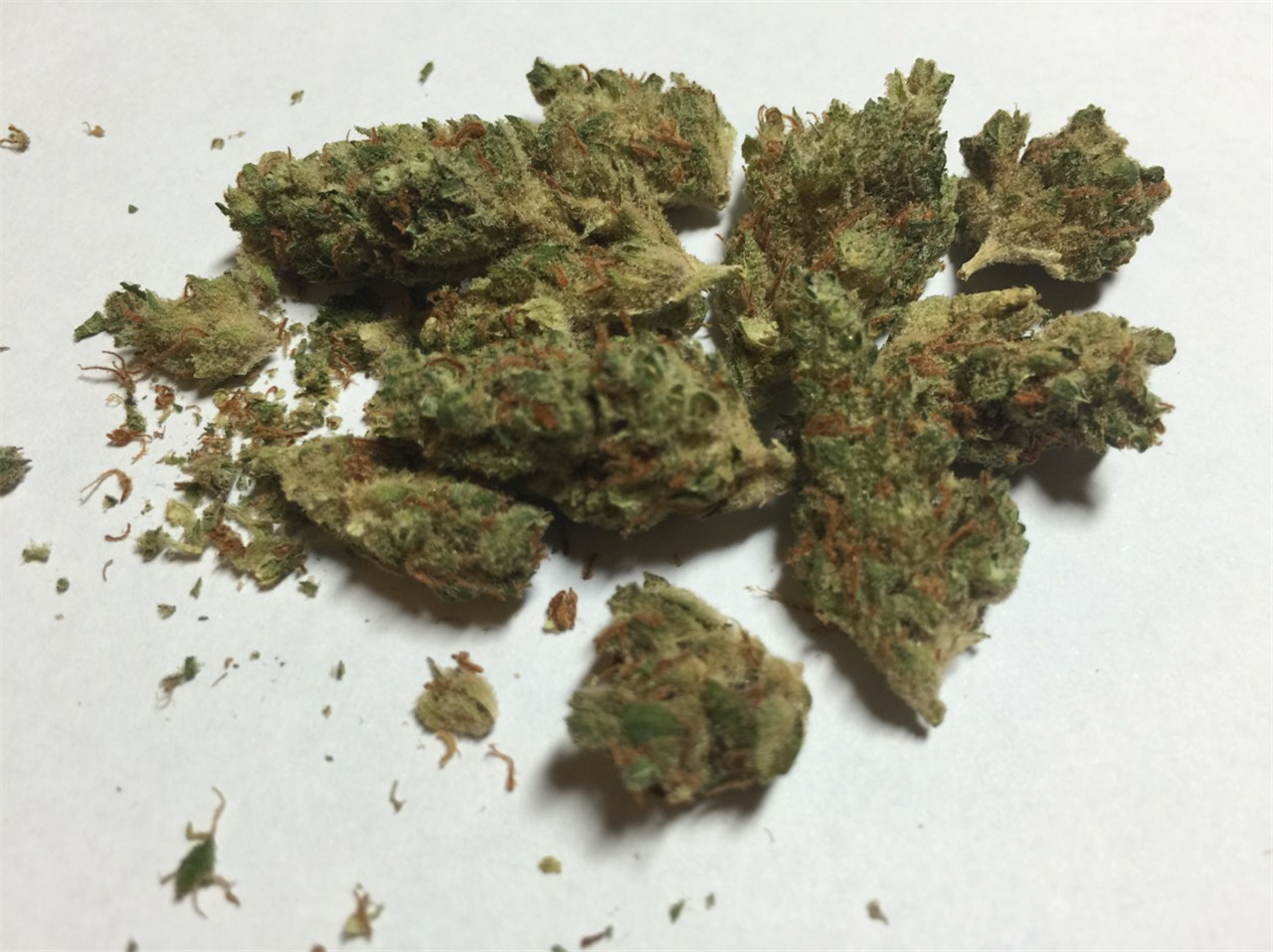 Walker Kush