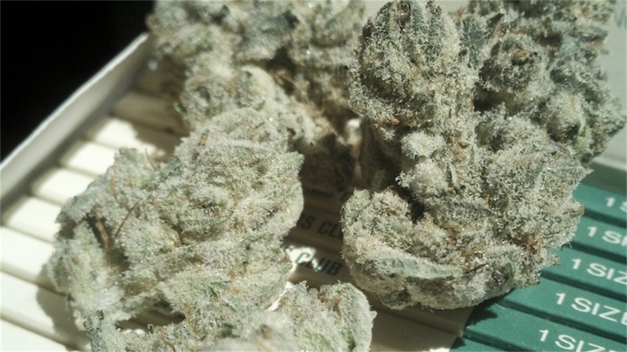 Walter White
