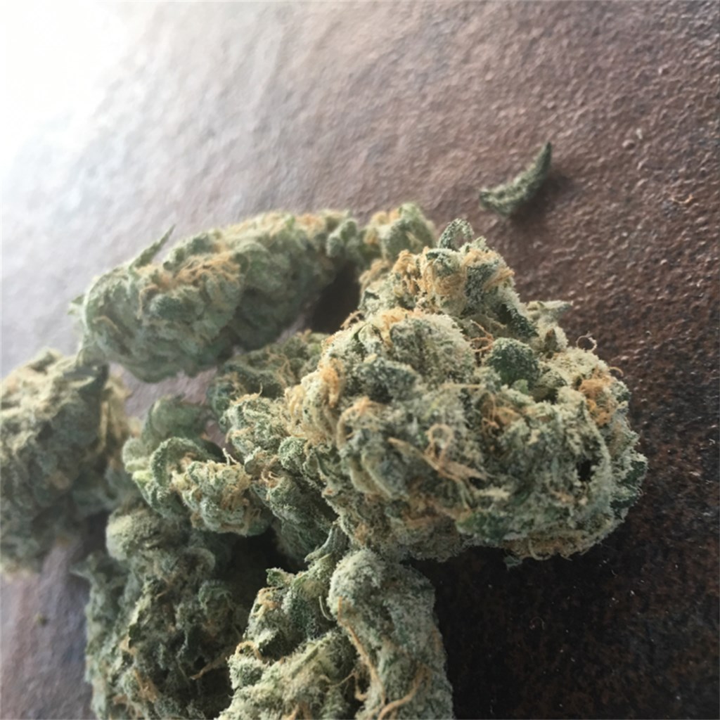 Foto de la variedad Wet Dream