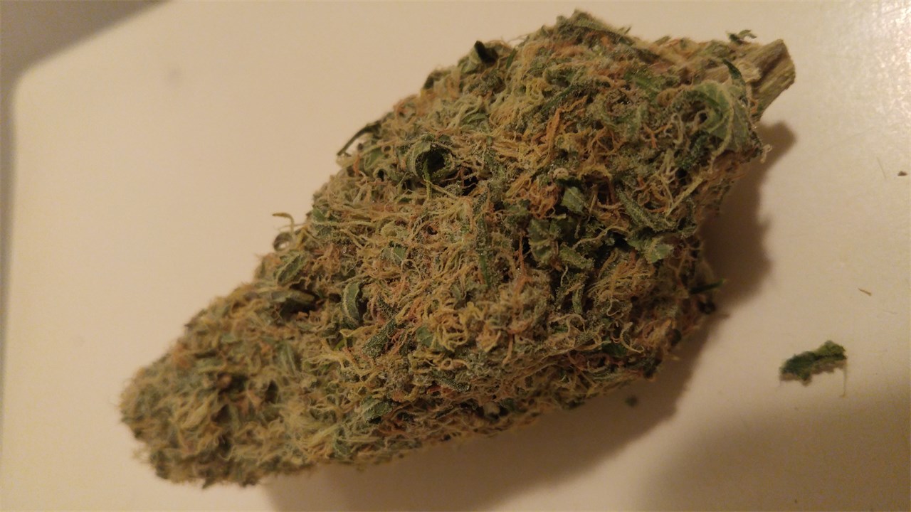 Foto de la variedad White Cheese