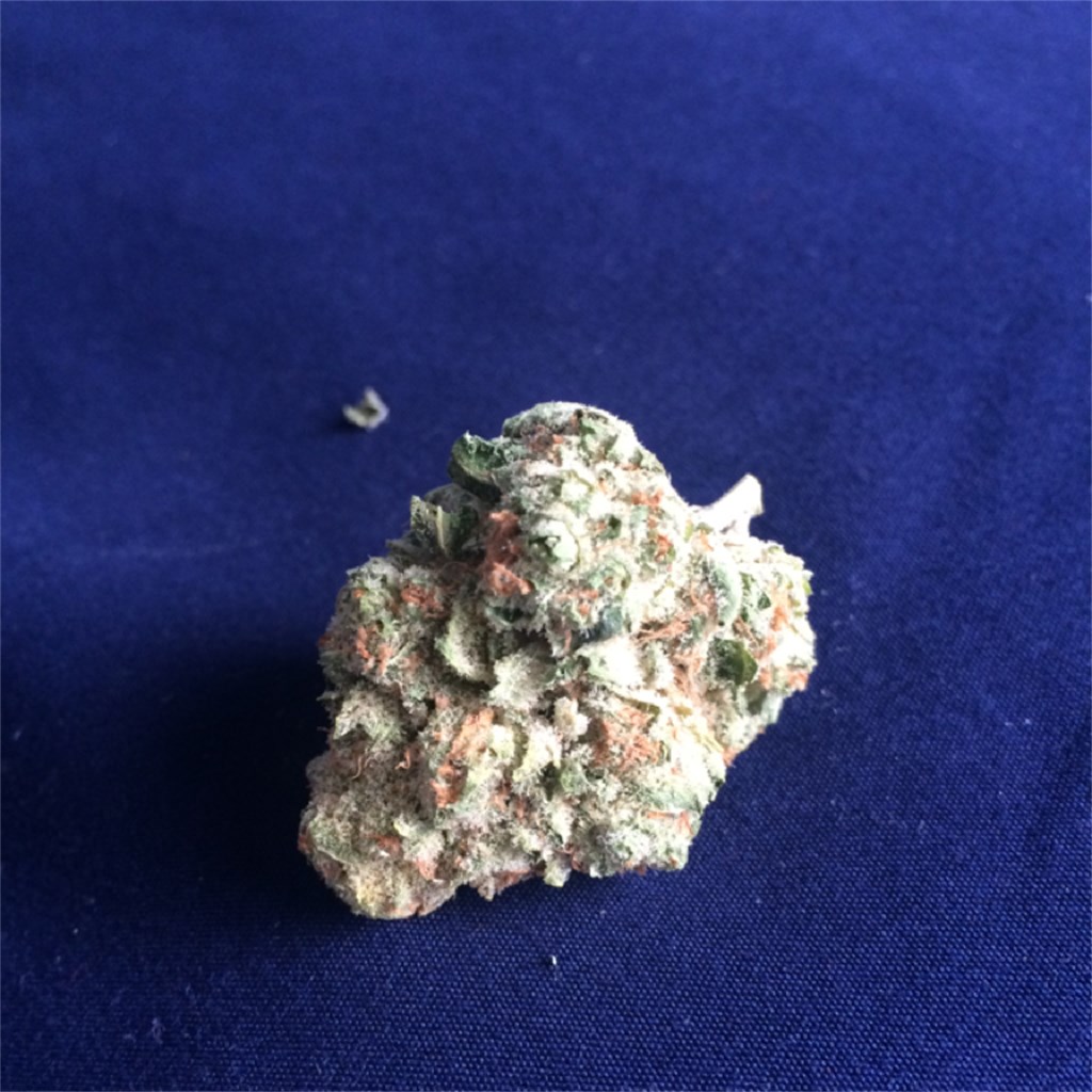 White Dawg