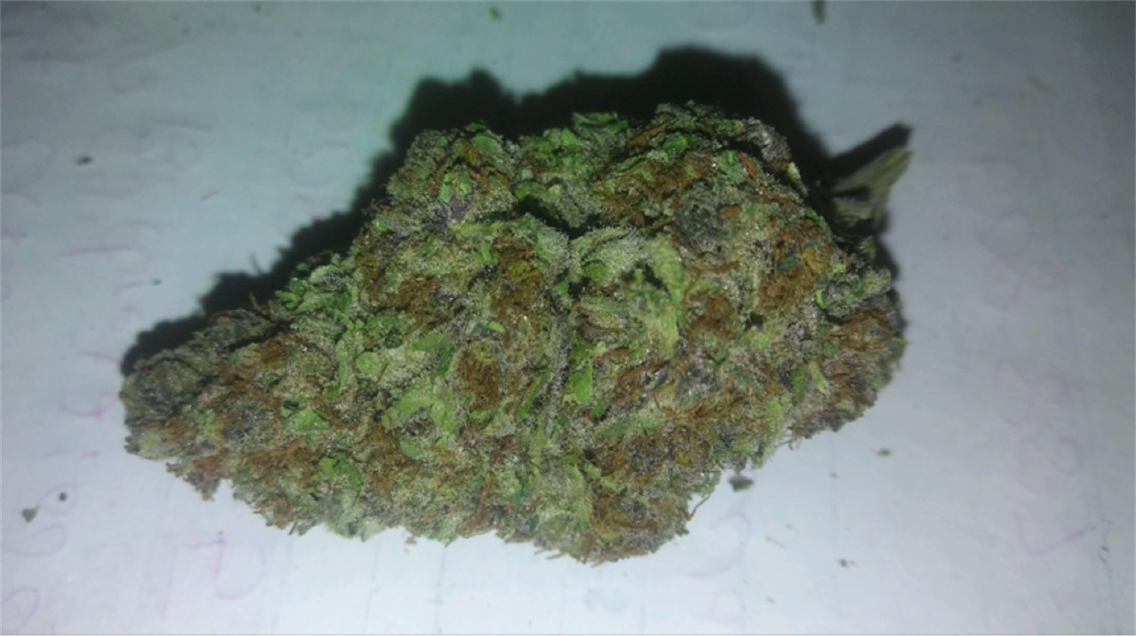 Foto de la variedad White Dream
