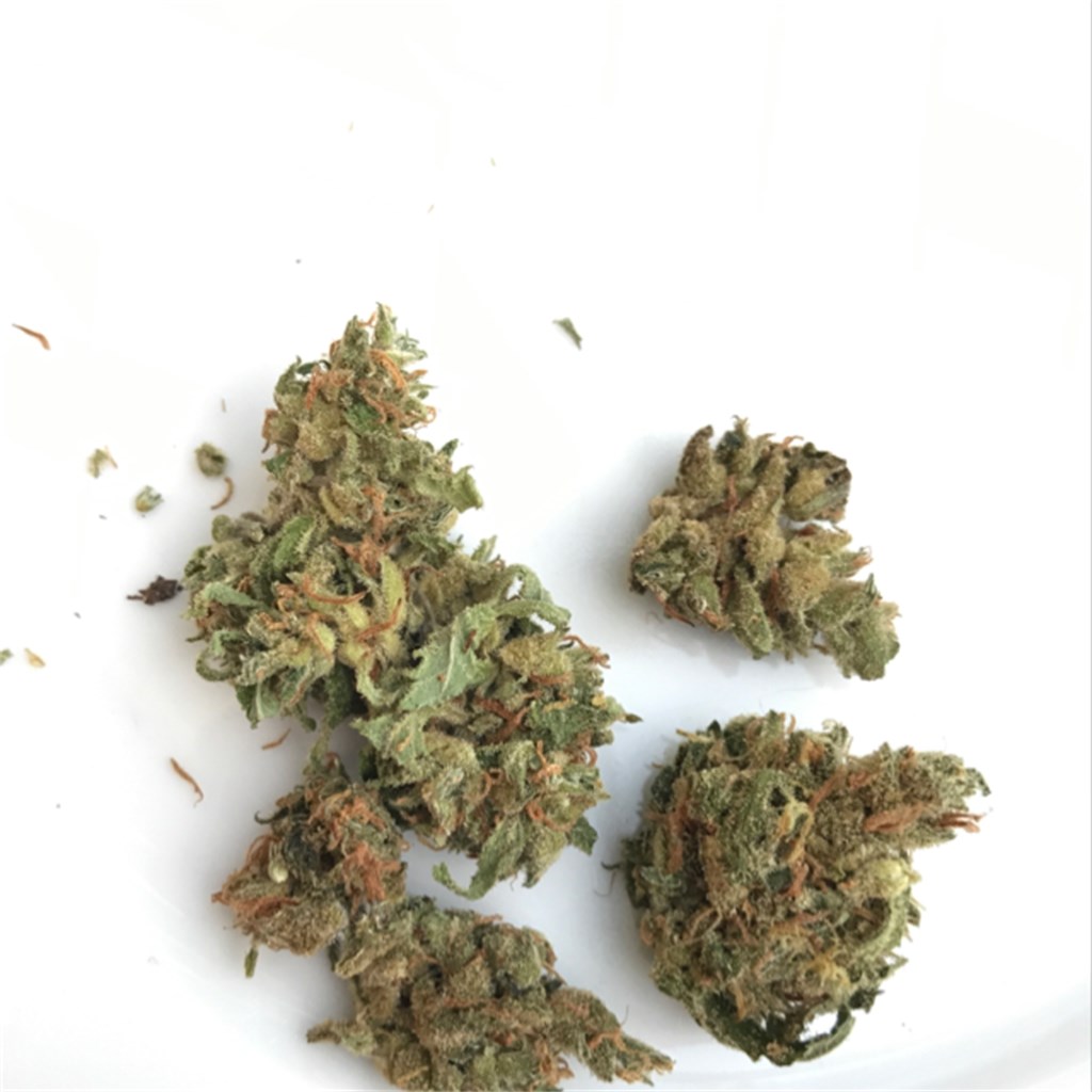 Foto de la variedad White Haze