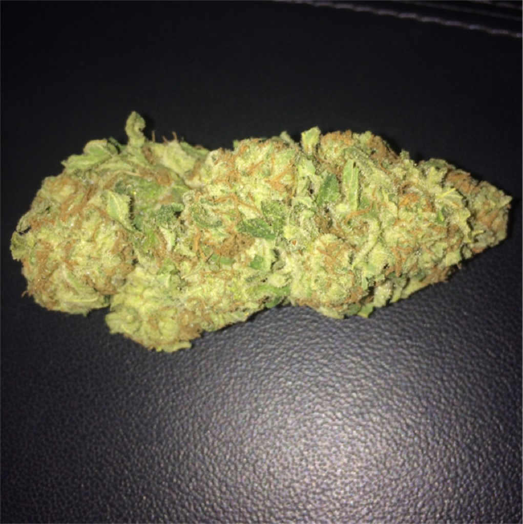Foto de la variedad White Lavender
