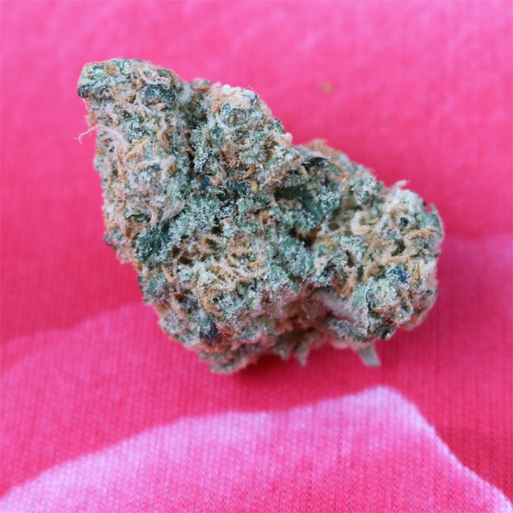 Foto de la variedad White Lotus