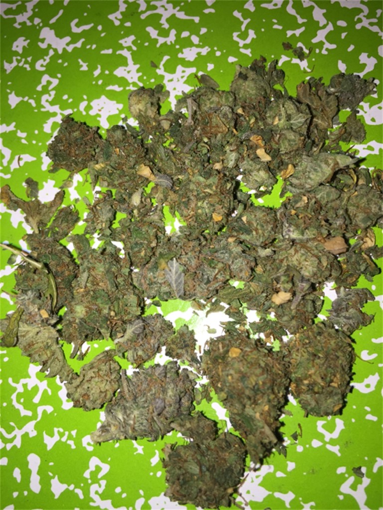 Foto de la variedad White Skunk