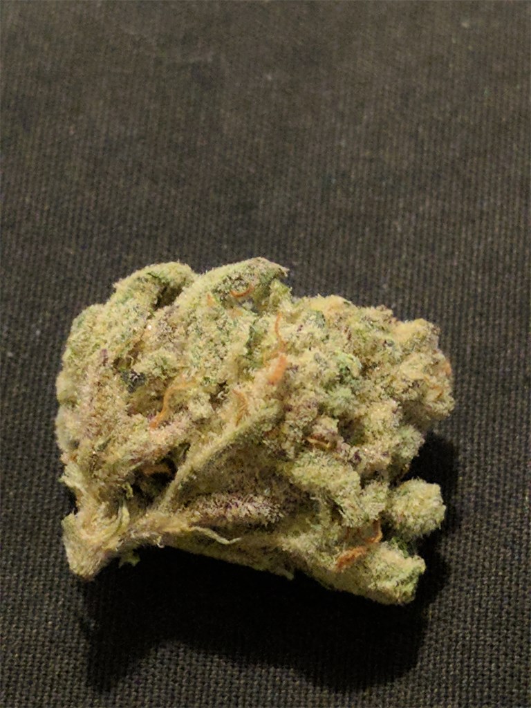 White Slipper