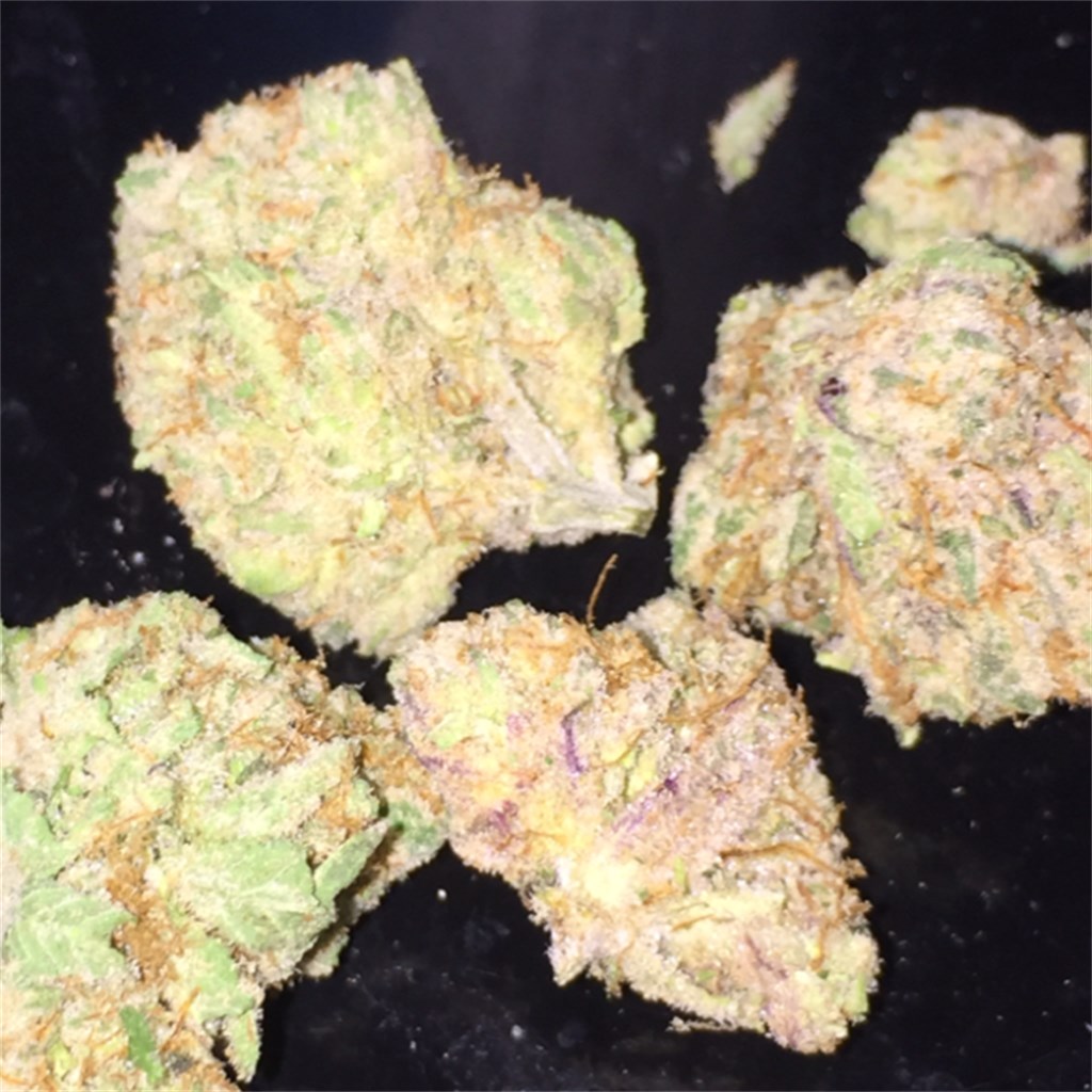 Foto de la variedad White Urkle