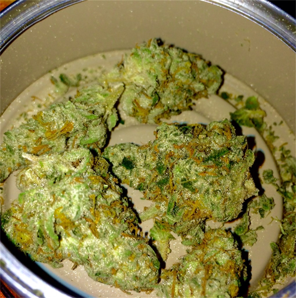 White Zombie