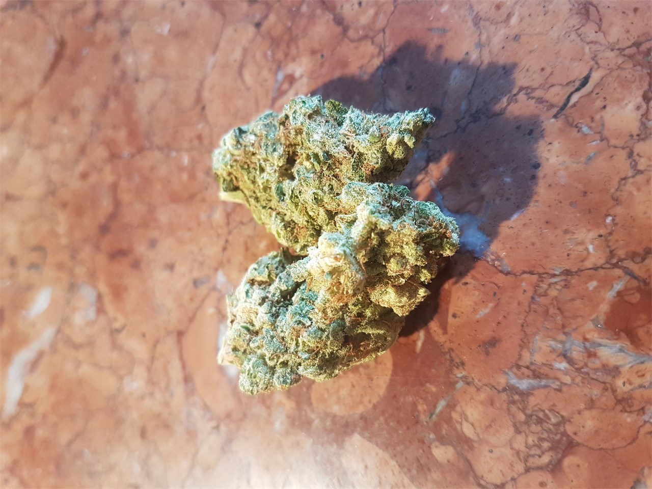 White Walker OG