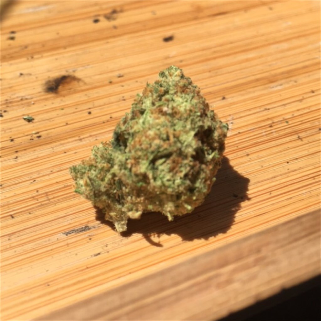 Foto de la variedad Willie Nelson